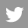 Twitter Icon